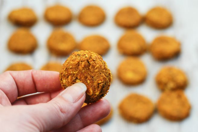 Homemade Turmeric and Fish Gourmet Dog Treats