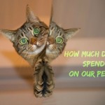 How much do we spend on our pets?