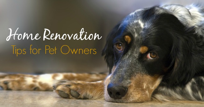 Home Renovation – Tips for Pet Owners