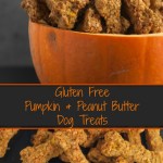 Gluten Free Pumpkin & Peanut Butter Dog Treats