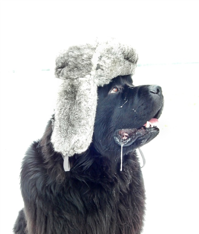 Wordless Wednesday #17 - Winter is Coming!