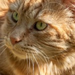 Wordless Wednesday #18