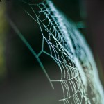 Weekly Photo Challenge: Oops!