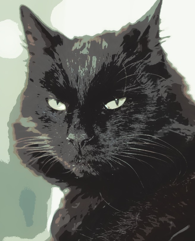 Wordless Wednesday #20 - Posterized