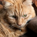 Wordless Wednesday #22