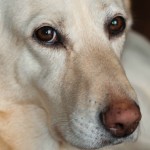 Wordless Wednesday #27