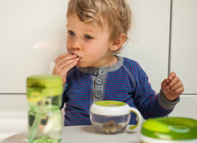 3. Toddler Life – Snack Time