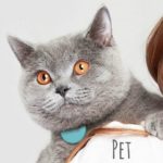 Pet Wearables – Tabcat & Whistle