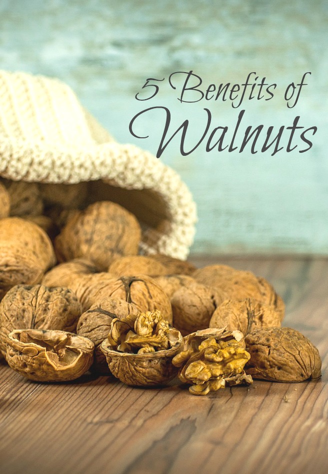 Who knew that walnuts are truly the nut of wonder… well actually they aren’t nuts but seeds but you get the point. They are among the oldest foods grown by humans, dating back to 7000BC, super rich in nutrition and with countless benefits to our body.