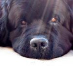 Wordless Wednesday #30