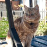 Wordless Wednesday #31