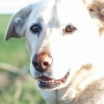 Wordless Wednesday #32