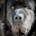 Wordless Wednesday #33