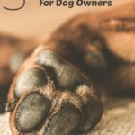 5 Top House Cleaning Tips For Dog Owners