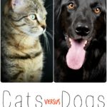 Cats Versus Dogs – Which Do You Prefer?