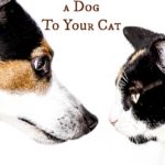 Introducing a Dog To Your Cat
