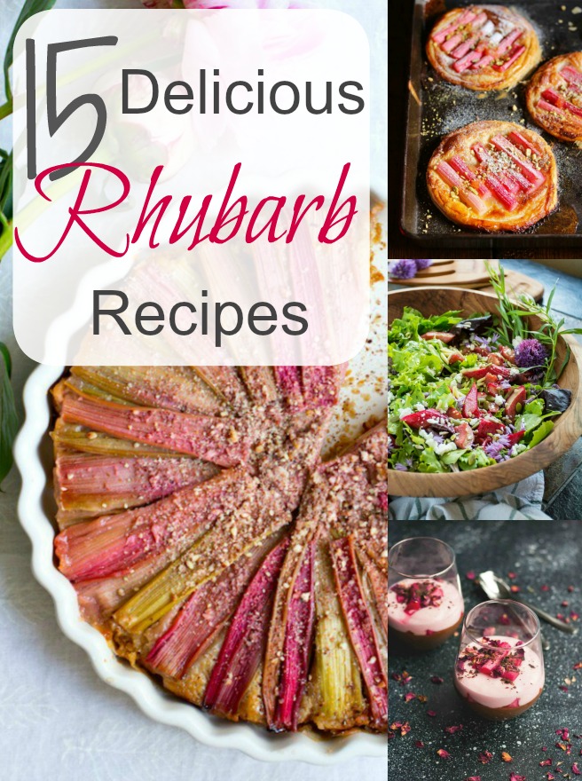 Rhubarb, that weird looking vegetable, commonly mistaken for being a fruit is packed with goodness, minerals and vitamins all of which can be greatly beneficial for our body. This is the first eatable plant that has grown in our garden (not counting the spring onions) so I was on the lookout for some new recipes to inspire me; I really had no idea rhubarb could be so versatile… it turns out there is so much more you can do with rhubarb than the “go to” recipe of rhubarb crumble :-)