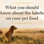 How to Decipher Pet Food Labels